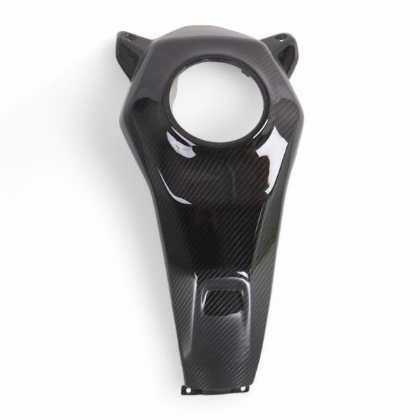 Carbon Tankverkleidung FüR BMW F 900 XR 2020-2025-image