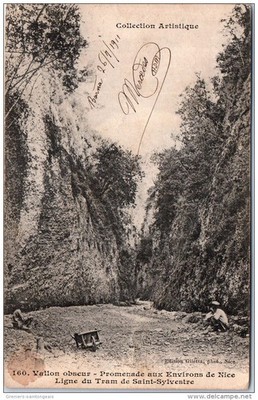 06 - dark valley - forestry tram line