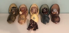 Hallmark Dinotopia Lot. 5  Eggs W/ 6 Plushies Stuffed Animals