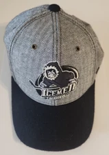 Jacksonville Icemen ECHL Hockey Team Embroidered Logo Blue & Grey