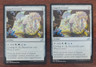 MTG Zagoth Crystal Ikoria: Lair of Behemoths 242/274 Regular Uncommon x2