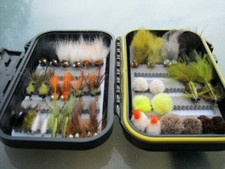 Carp On The Fly - An Essential Collection Of 20 patterns 