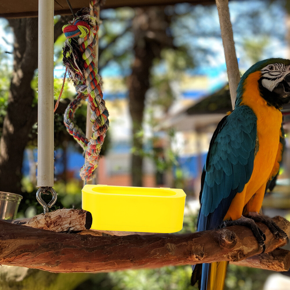 Pet Bird Parrot Food Bowls Small Animal Feeder Bowl Basic Dish