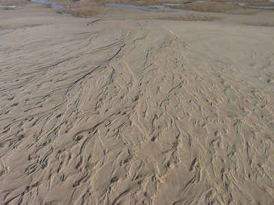 Foto A3 Muster im Sand (5) Stiffkey c2010
