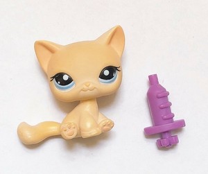 lps sitting down cat