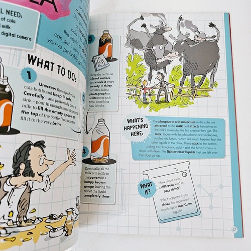 Roald Dahl's George's Marvellous Experiments Paperback science to do at home - Picture 19 of 20