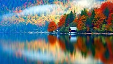Landscape nature trees forest fall colorful water lake Custom Gaming Mat Desk