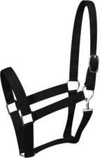 New Draft horse size DOUBLE PLY NYLON HALTER w/ Throat latch 4 COLORS 