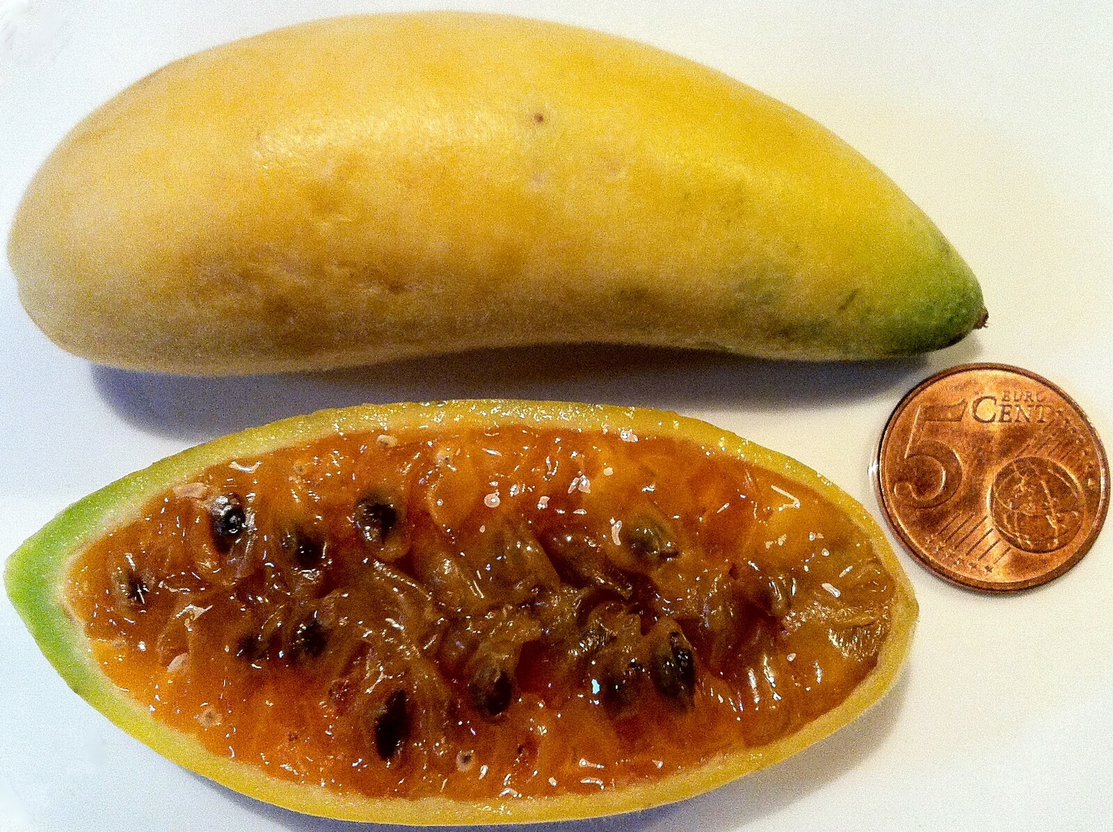 SAMEN BANANE PASSION Banane-Passionsblume Obst-Salat exotische Pflanzen seltene