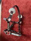 Western Show Halter Foal/Pony Leather Engraved Silver Trim New