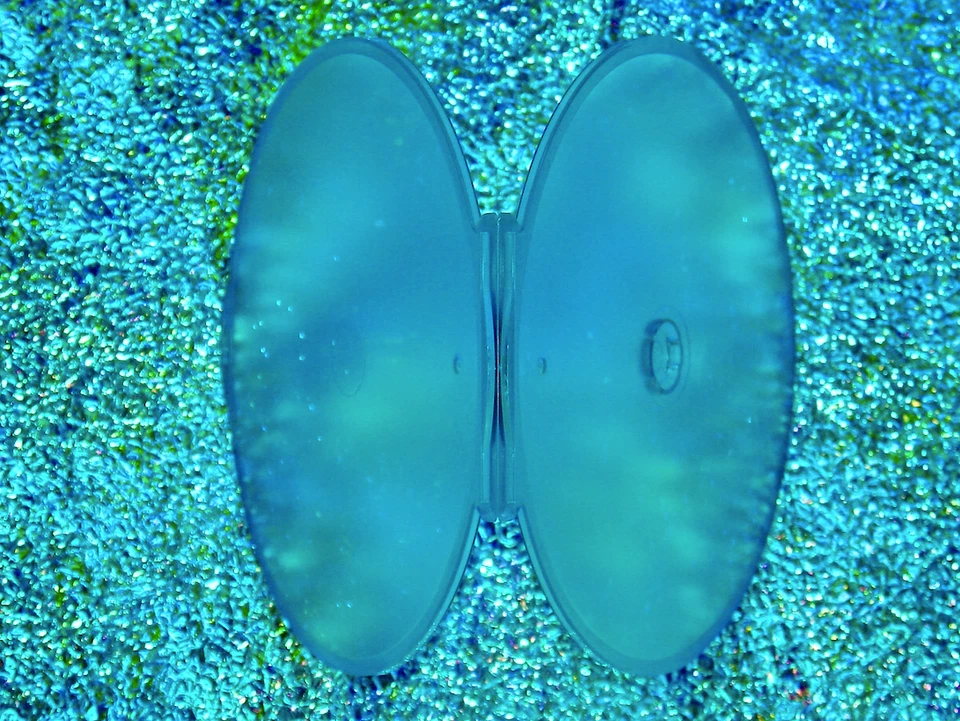 TOM PETTY Starring In HEARTBREAKERS BEACH PARTY DVD 2025 Documentary Stevie Nick - Image 4 of 4