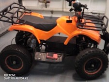 Kinderquad elektrisch. Motor muss ausgetauscht werden