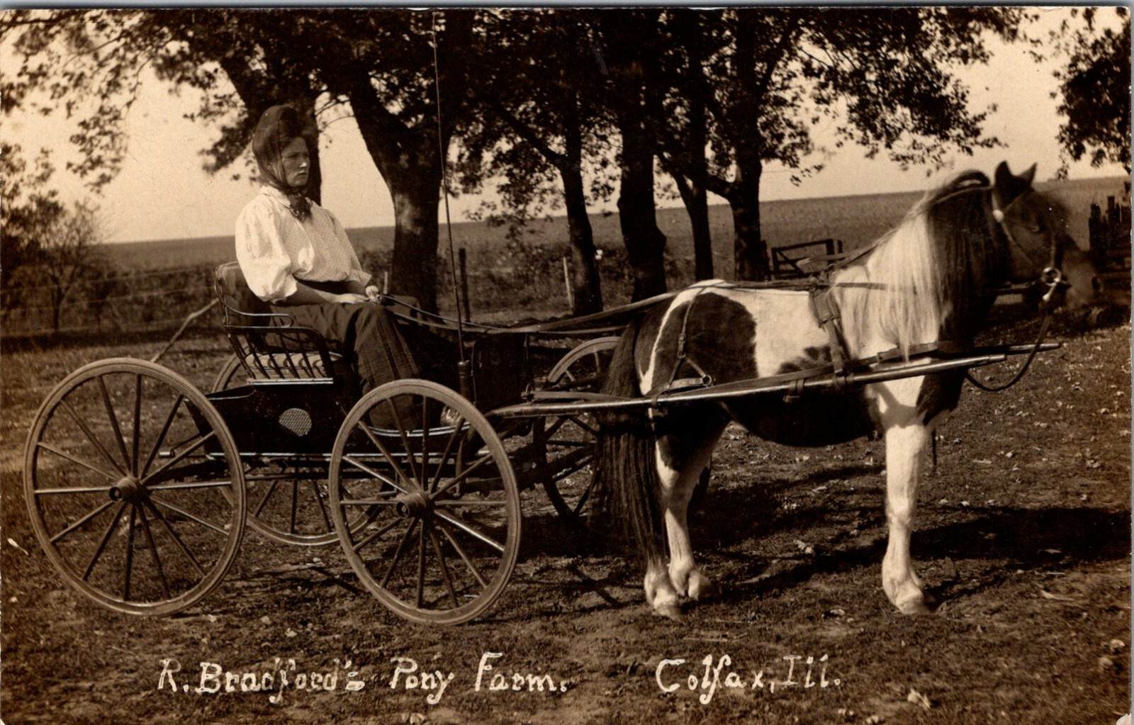 COLFAX ILLINOIS BRANFORDS PONY FARM WAGON OLD REAL PHOTO POSTCARD eBay