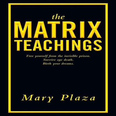 The Matrix Teachings Free Yourself from the Invisible Prison Surv