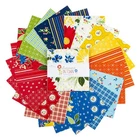 SUMMER'S in TOWN Stacker Pack from Riley Blake - (42) 5" fabric squares
