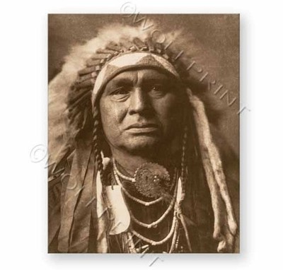 Edward Sheriff Curtis White Man Runs Him - Apsaroke 1908 Photo Poster