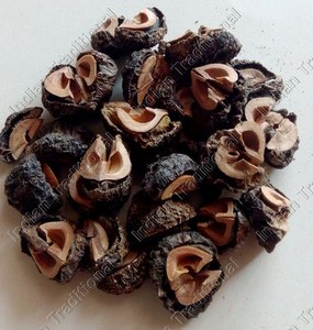 Bulk-Amla-Indian-Gooseberry-Amlaki-Phyllanthus-Emblica-Dried-Organic-Dry-Fruit
