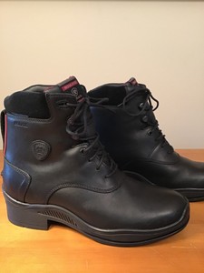 ariat extreme paddock