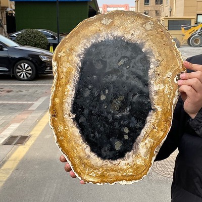 12.29LB Natural Petrified Wood Crystal Fossil Slice Shape Specimen Healing
