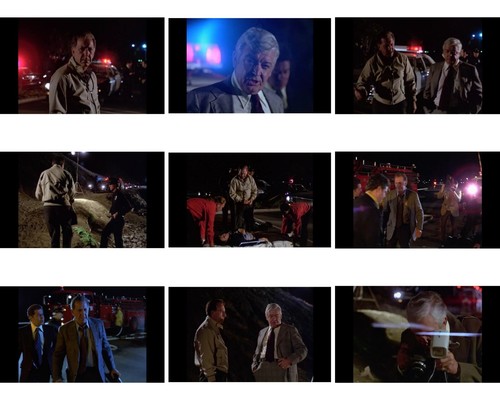 QUINCY COMPLETE SERIES **** PLUS FREE GIFT **** - Picture 11 of 17