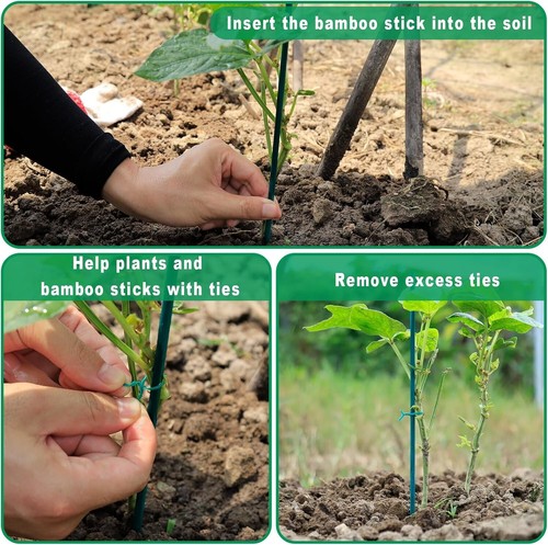 Plant Stakes 50 PCS Garden Green Bamboo Sticks Plant Support Stakes for Indoor - Picture 3 of 7