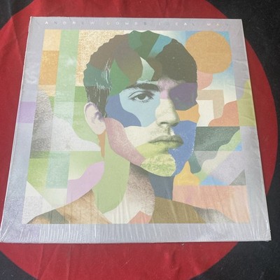 Andrew Combs - Ideal Man (2019, Vinyl LP)  Save Somebody Else   Dry Eyes 