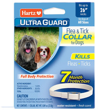 Hartz UltraGuard Flea Tick Collar for Dogs Puppies 26", 7 Month Protection