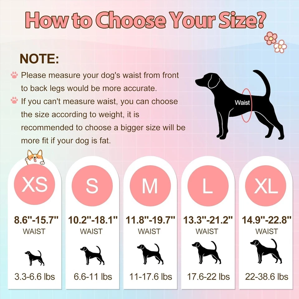 Pañales transpirables para perro hembra, fuerte absorción, S Foto 4 de 4