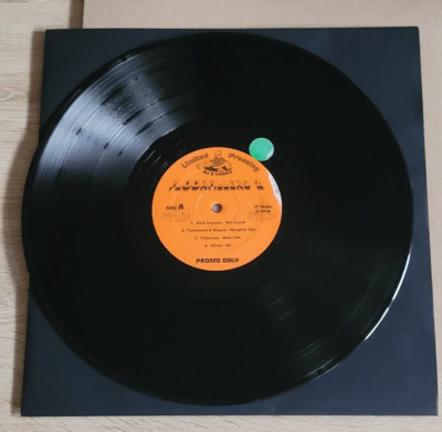 12 Inch Vinyl Various - DJ s Choice Promo Only Floorfillers Jay Z.