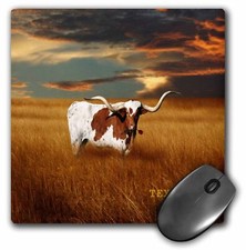 3dRose A Texas Longhorn MousePad