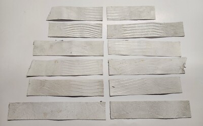Watch Strap Teju Lizard Leather Strips 12 Pcs.  0284