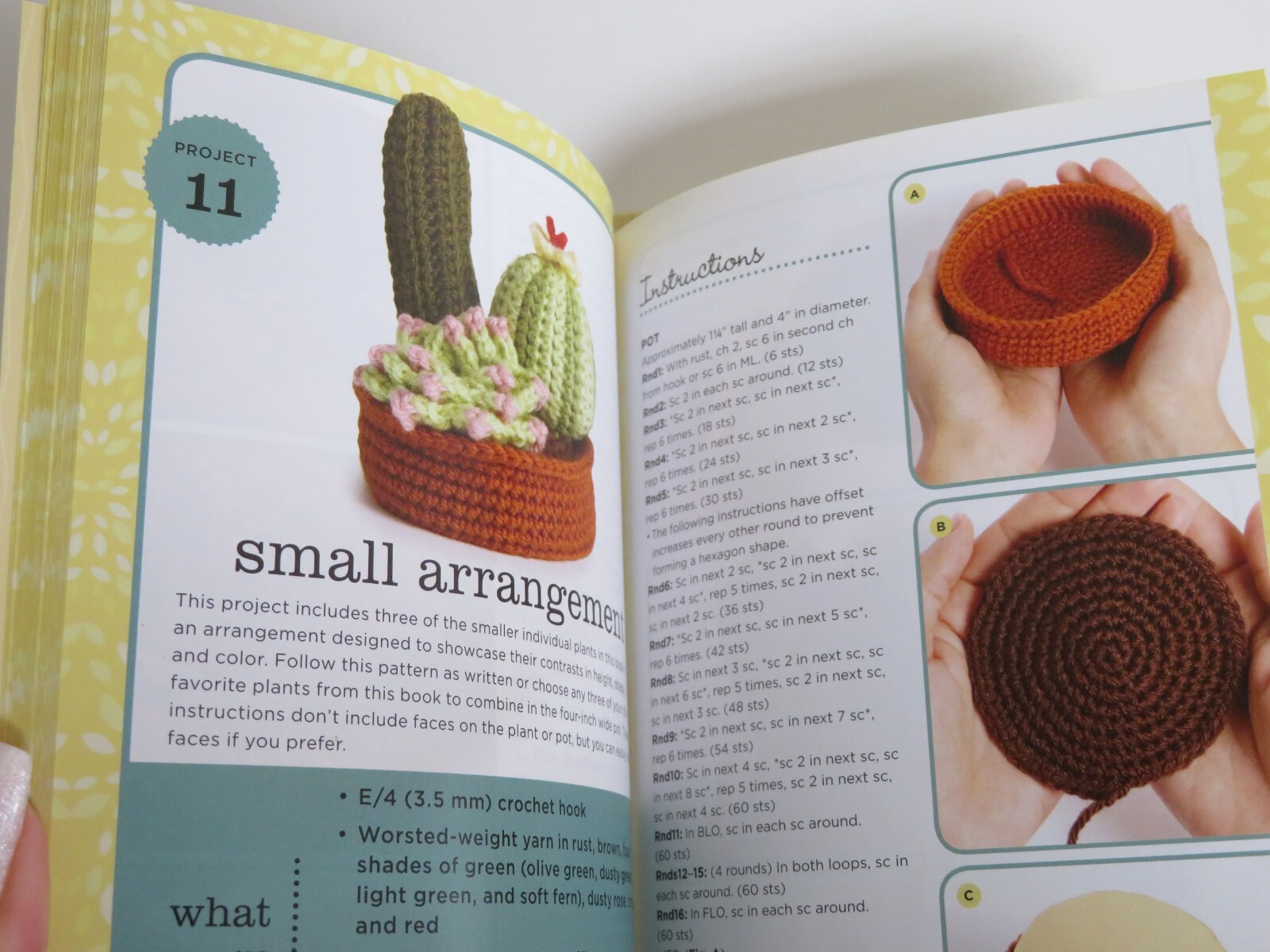 Soft & Snuggly Cacti Crochet Characters Amigurumi Kit Makes 2 Succulent ...