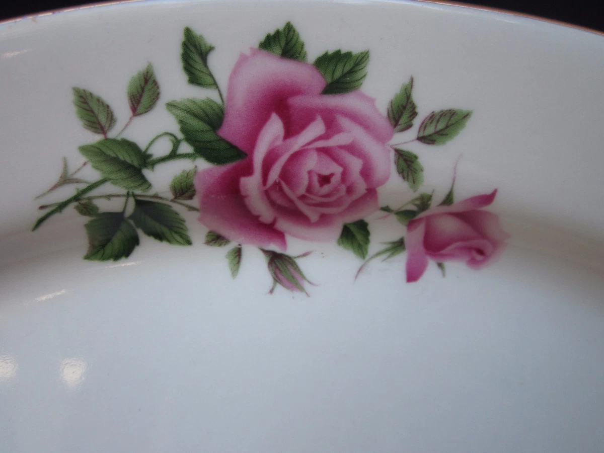 Rose pattern dinnerware cheap