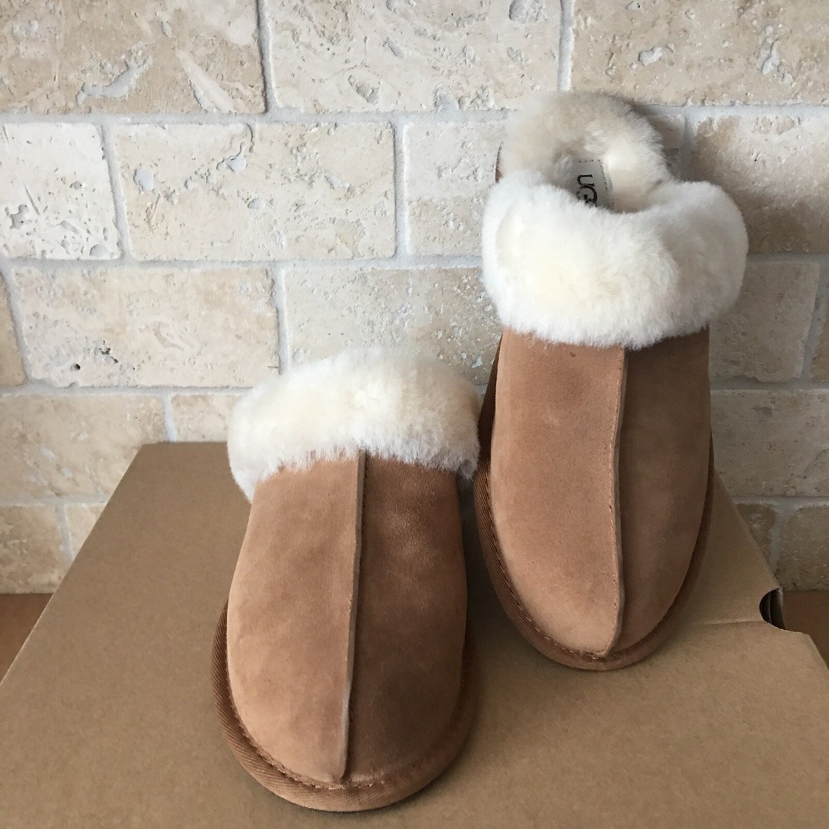 靴 UGG Scuffette II 23cm Scuffette II Slipper for Women | UGG®