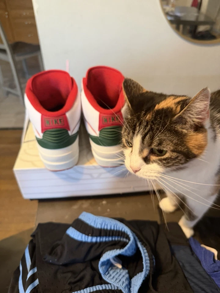 Herren Jordan 2 Retro Origins. Größe 11,5. Originalkarton - Bild 4 von 4