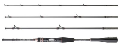 Hearty Rise Dark Soul Travel Cast 2,30M 20-80G Reiserute Baitcast