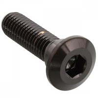 Schraube Bremsscheibe Hinten M8X1.25 30Mm Schwarz FüR Kawasaki Z 750 GP Bj. 1982