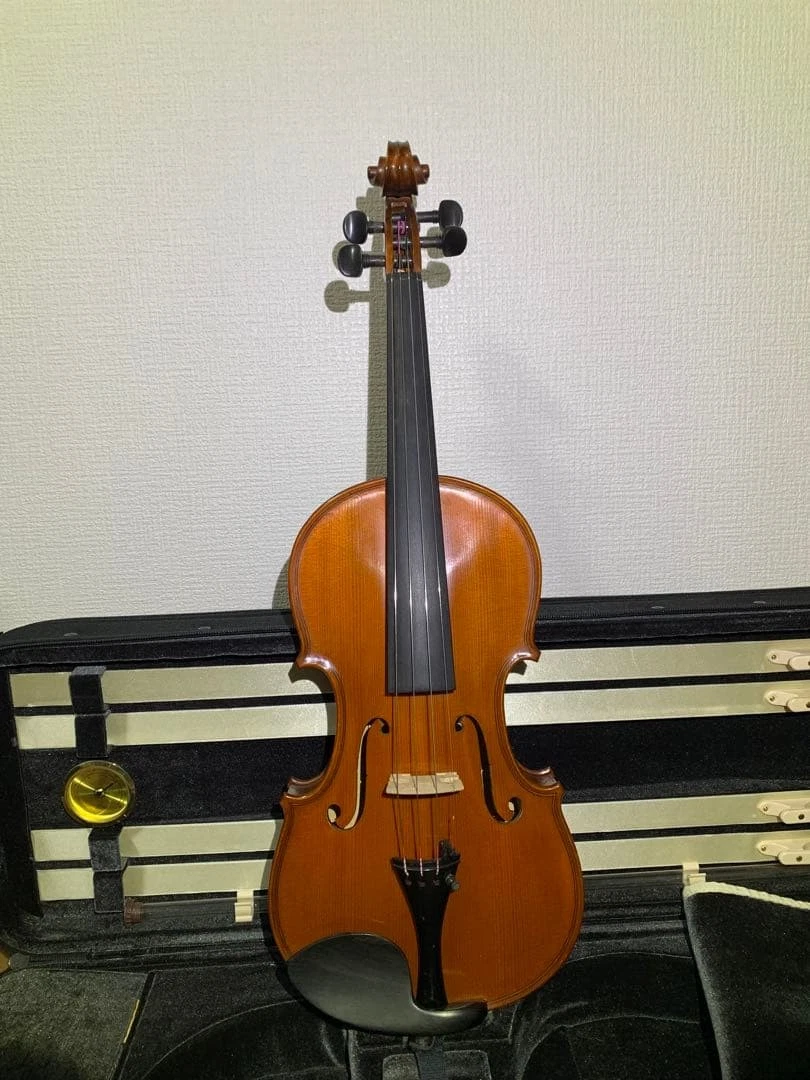 Gliga 4/4 Size Violins for sale | eBay