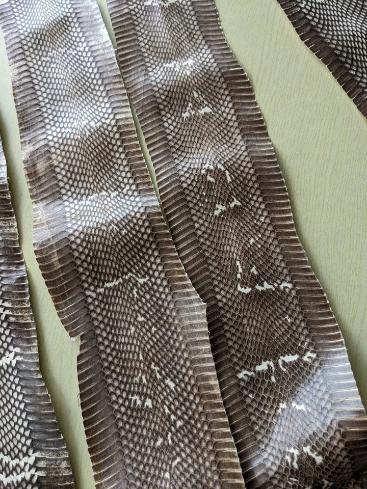 Asia Cobra Snake Skin w/ Hood Mark Snakeskin Hide Leather without Hole - Image 3 of 4
