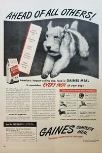 1947 Gaines compete meal for dogs Vintage Ad ahead of all others