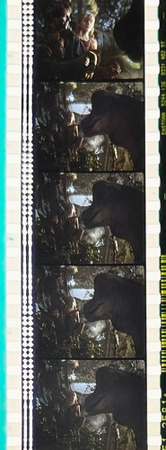 Jurassic Park 1993 Very Rare Unmounted 35mm Film Cells - Steven Spielberg - Picture 139 of 142
