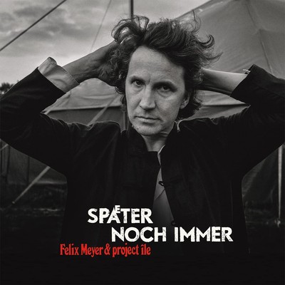 Felix Meyer Später Noch Immer (Vinyl)