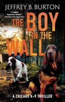 Boy In The Wall - Hardback - F31Z