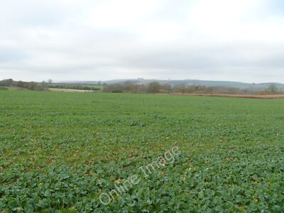 Photo 6x4 Find the path Scotland End There is no trace of the path nor an c2011