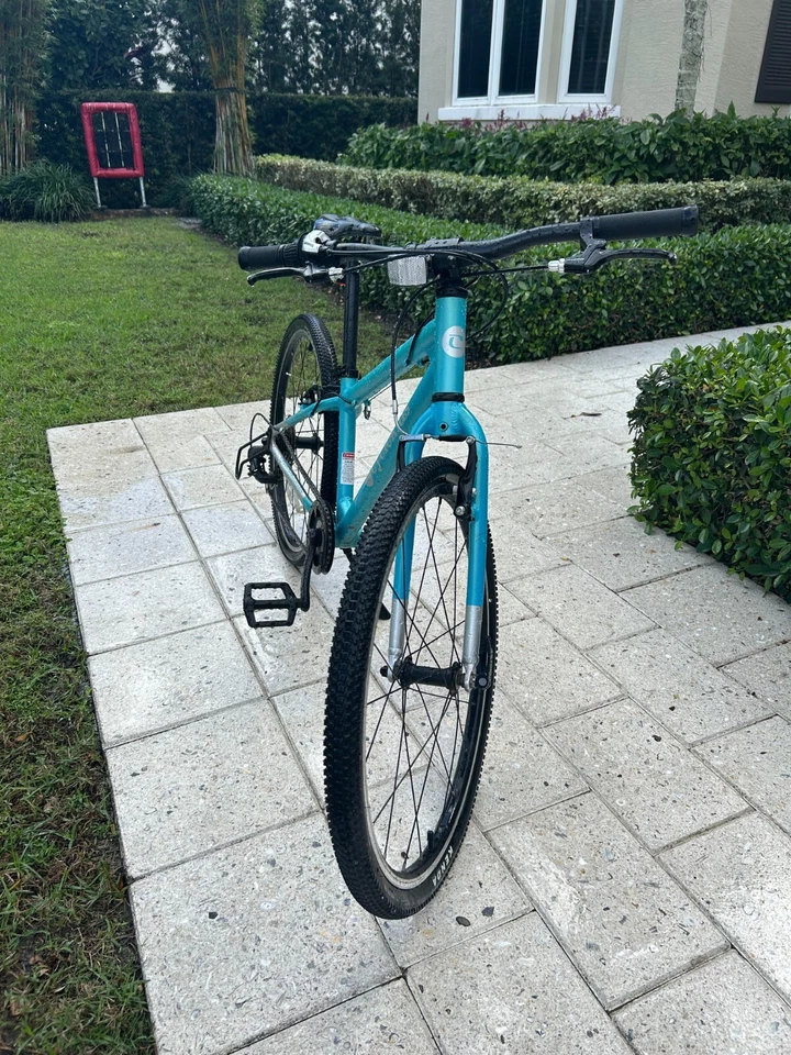 Bicicleta para niños de 20 pulgadas azul claro ligeramente usada Foto 2 de 4