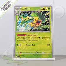 Pokemon TCG Card - Ludicolo 7/94 Uncommon | Phantasmal Flames (2025) PFL