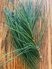 Eastern White Pine Needles 10 oz package