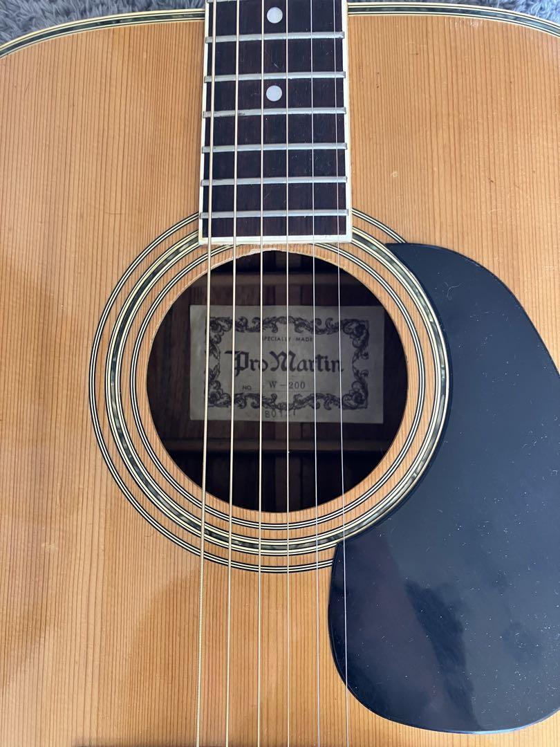 PRO MARTIN W-200 プロマーティン　ヴィンテージ Pro Martin W-200 プロマーチン ビンテージギター