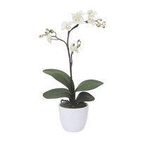Kunstpflanze Phalaenopsis Cassandra, Farbe Creme, Inkl. Keramiktopf, HöHe Ca. 55