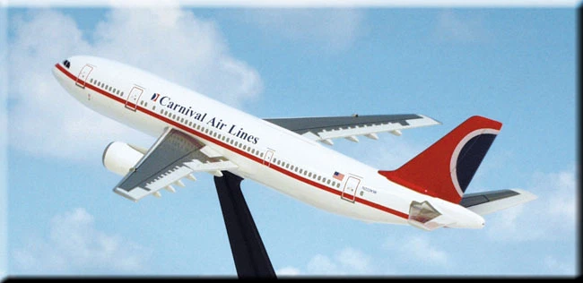 DRAGON WINGS CARNIVAL AIRLINES A300 B4-203 1:400 Diecast Civil Plane Model 55276 - Image 3 of 4